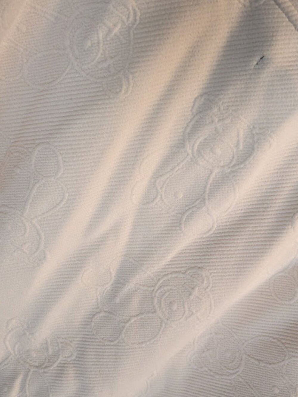 G-NET Cream Color Matching Short Set - Picture 12 of 12